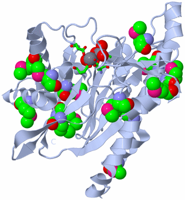 Image Biol. Unit 1 - sites