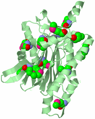 Image Biological Unit 2