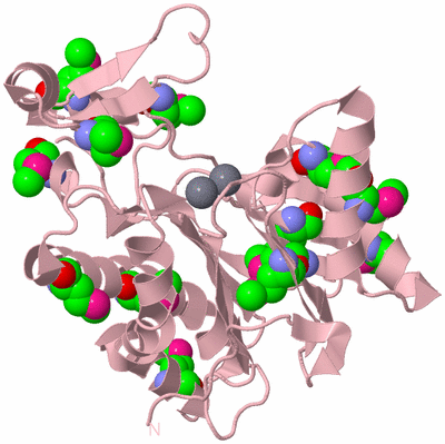 Image Biological Unit 3