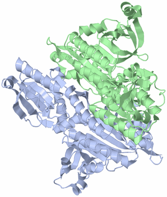 Image Biological Unit 1