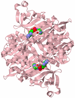 Image Biological Unit 2