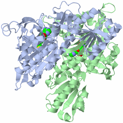 Image Biological Unit 1