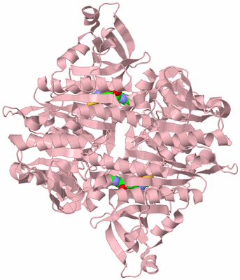 Image Biological Unit 2