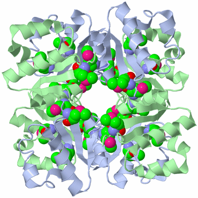 Image Biological Unit 2