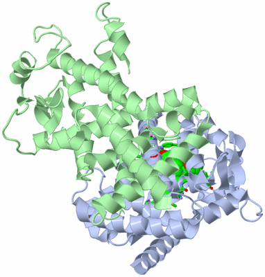 Image Asym./Biol. Unit - sites