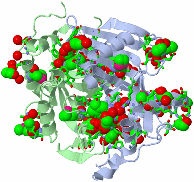 Image Asym./Biol. Unit - sites