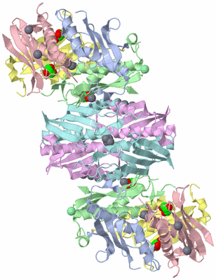 Image Biological Unit 3