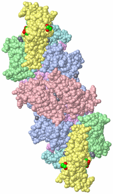 Image Biological Unit 4