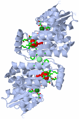 Image Biol. Unit 1 - sites