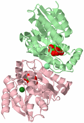 Image Biological Unit 2