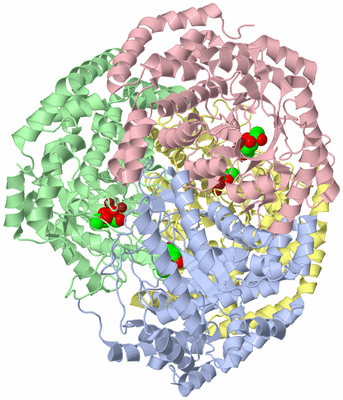 Image Asym./Biol. Unit