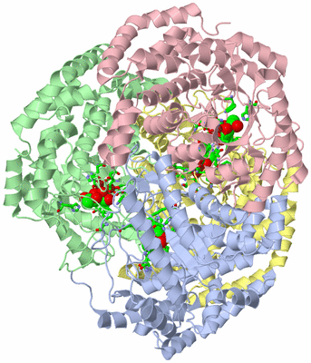 Image Asym./Biol. Unit - sites