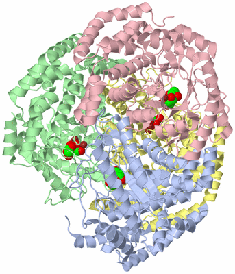 Image Asym./Biol. Unit