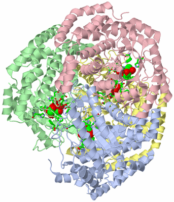 Image Asym./Biol. Unit - sites