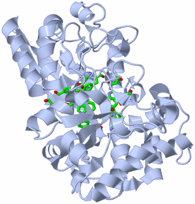 Image Biol. Unit 1 - sites