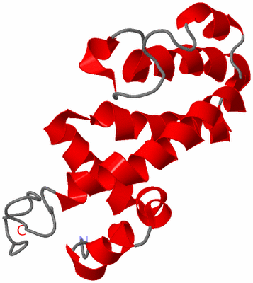 Image NMR Structure - model 1