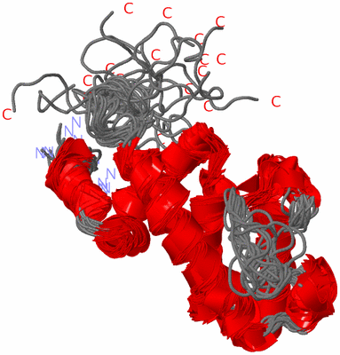 Image NMR Structure - all models