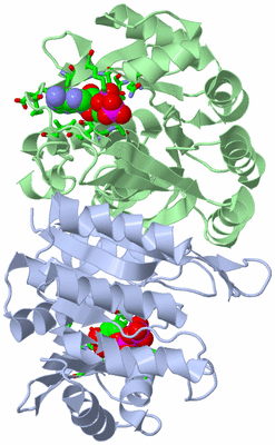 Image Biol. Unit 1 - sites