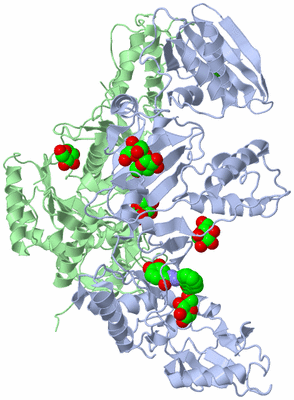 Image Asym./Biol. Unit