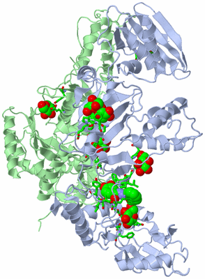 Image Asym./Biol. Unit - sites