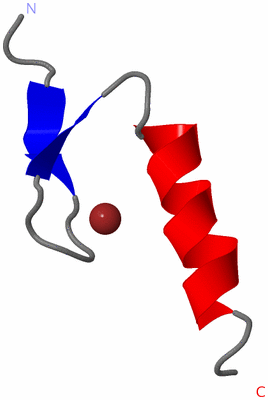 Image NMR Structure - model 1