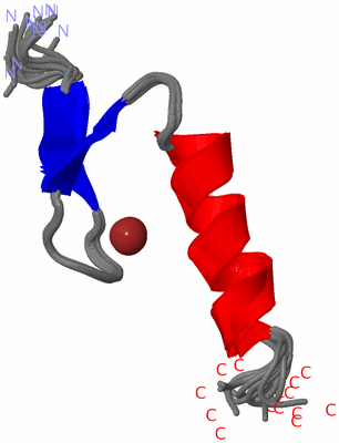 Image NMR Structure - all models