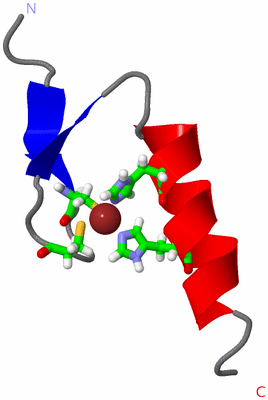 Image NMR Structure - model 1, sites