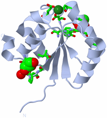 Image Biol. Unit 1 - sites