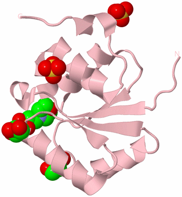 Image Biological Unit 3