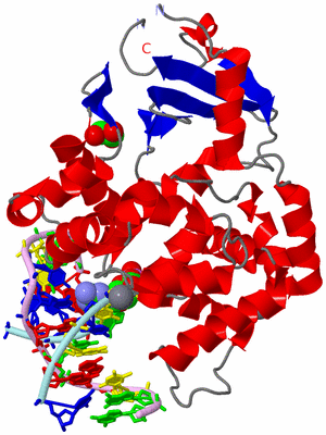 Image Asym./Biol. Unit