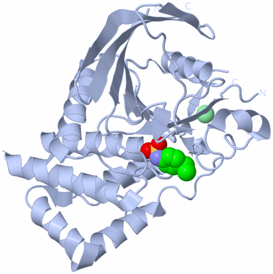 Image Biological Unit 1