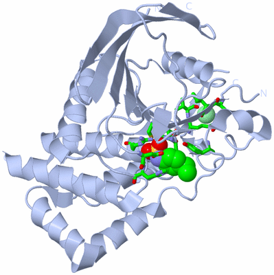 Image Biol. Unit 1 - sites