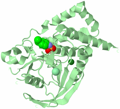 Image Biological Unit 2