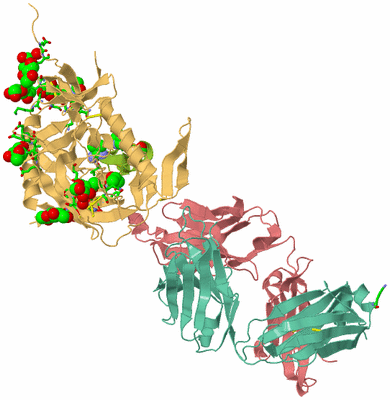 Image Biol. Unit 1 - sites