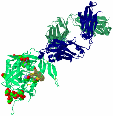 Image Biological Unit 2