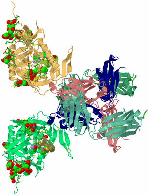 Image Asym. Unit - sites