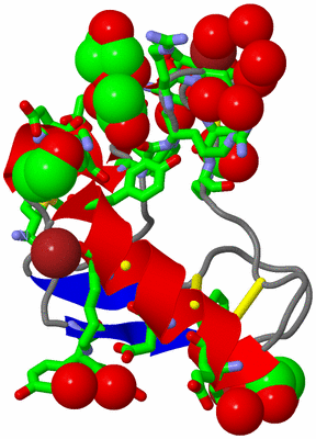 Image Asym./Biol. Unit - sites