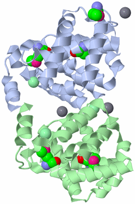 Image Asym./Biol. Unit