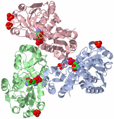 Image Asym./Biol. Unit