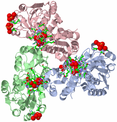 Image Asym./Biol. Unit - sites