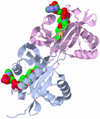 Image Biological Unit 1