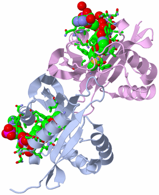 Image Biol. Unit 1 - sites