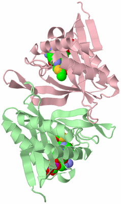 Image Biological Unit 2