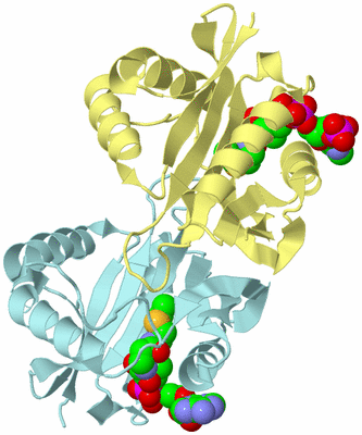 Image Biological Unit 3