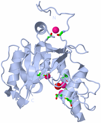 Image Biol. Unit 1 - sites