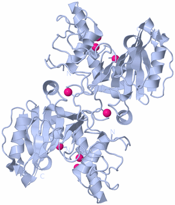 Image Biological Unit 2