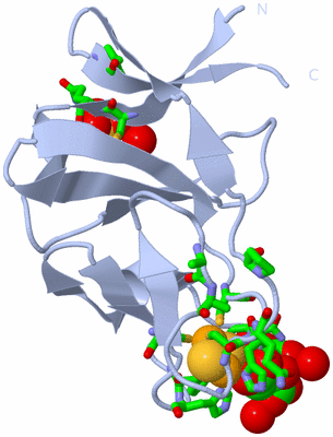 Image Biol. Unit 1 - sites