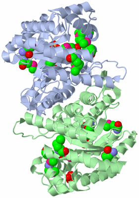 Image Asym./Biol. Unit