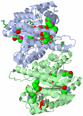 Image Asym./Biol. Unit - sites