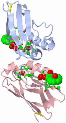 Image Biol. Unit 1 - sites